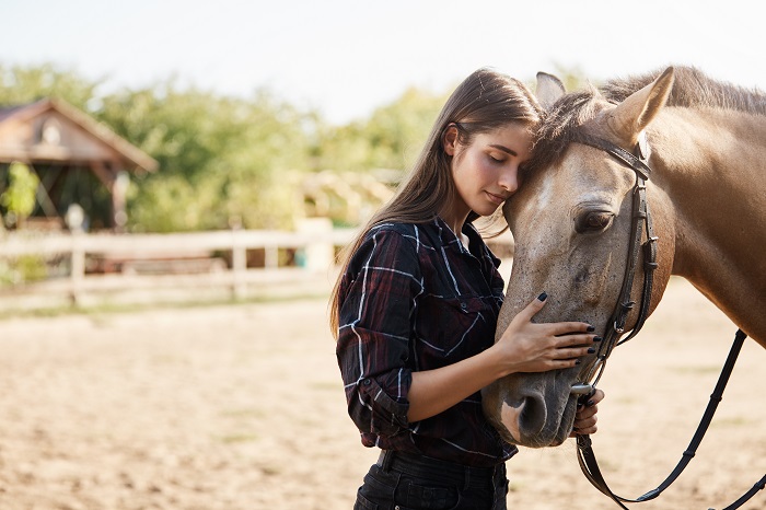 Does Insurance Pay for Equine Therapy